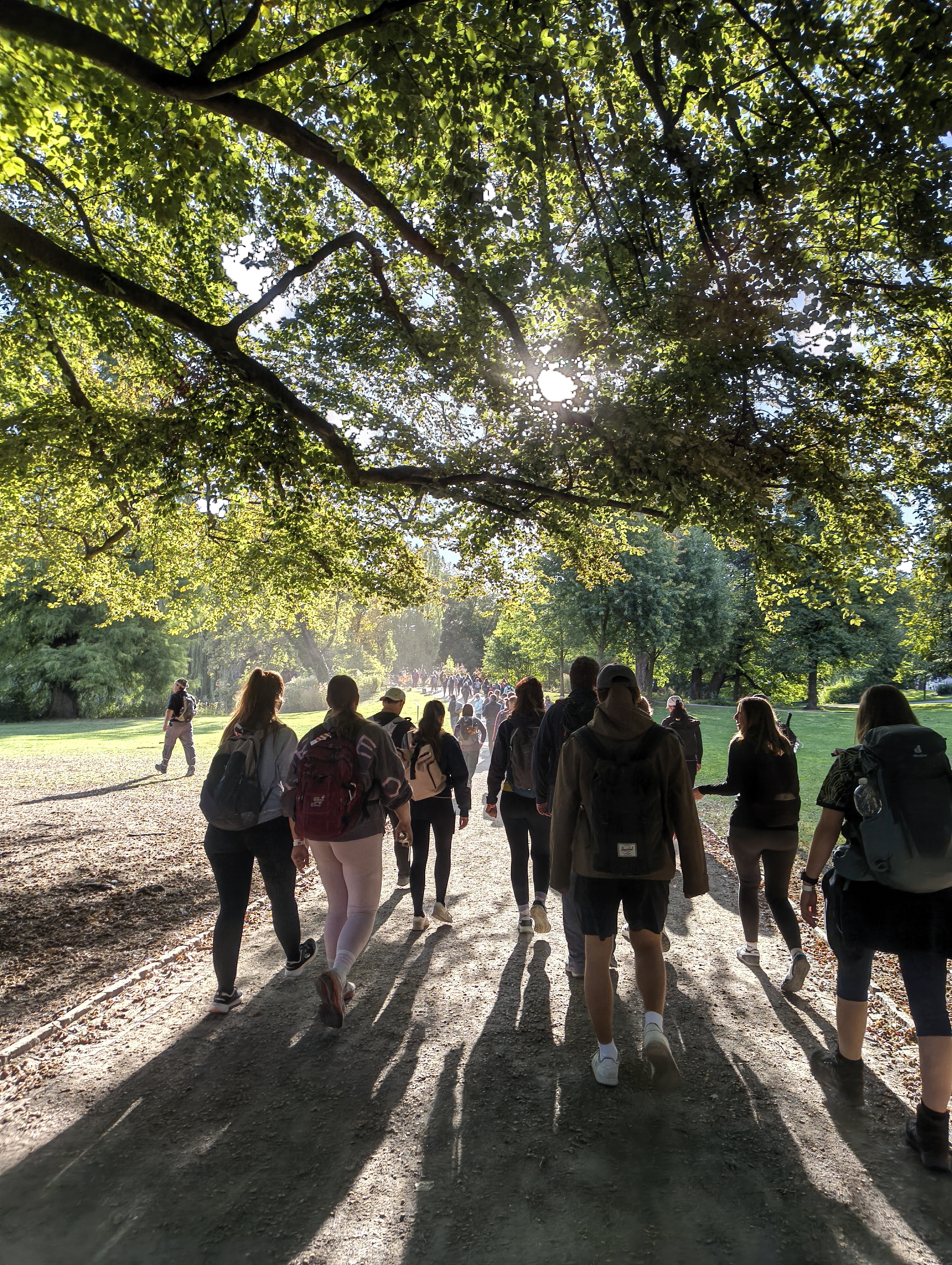Personen gehen in kleineren Gruppen neben- und hintereinander. Die Morgensonne scheint. Personen treten aus dem Schatten von Bäumen auf die sonnendurchflutete Strecke.