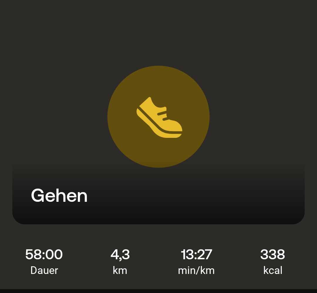 Gehen – Dauer: 58:00 Minuten · Kilometer: 4,3 · 13:27 Minuten pro Kilometer · 338 kcal