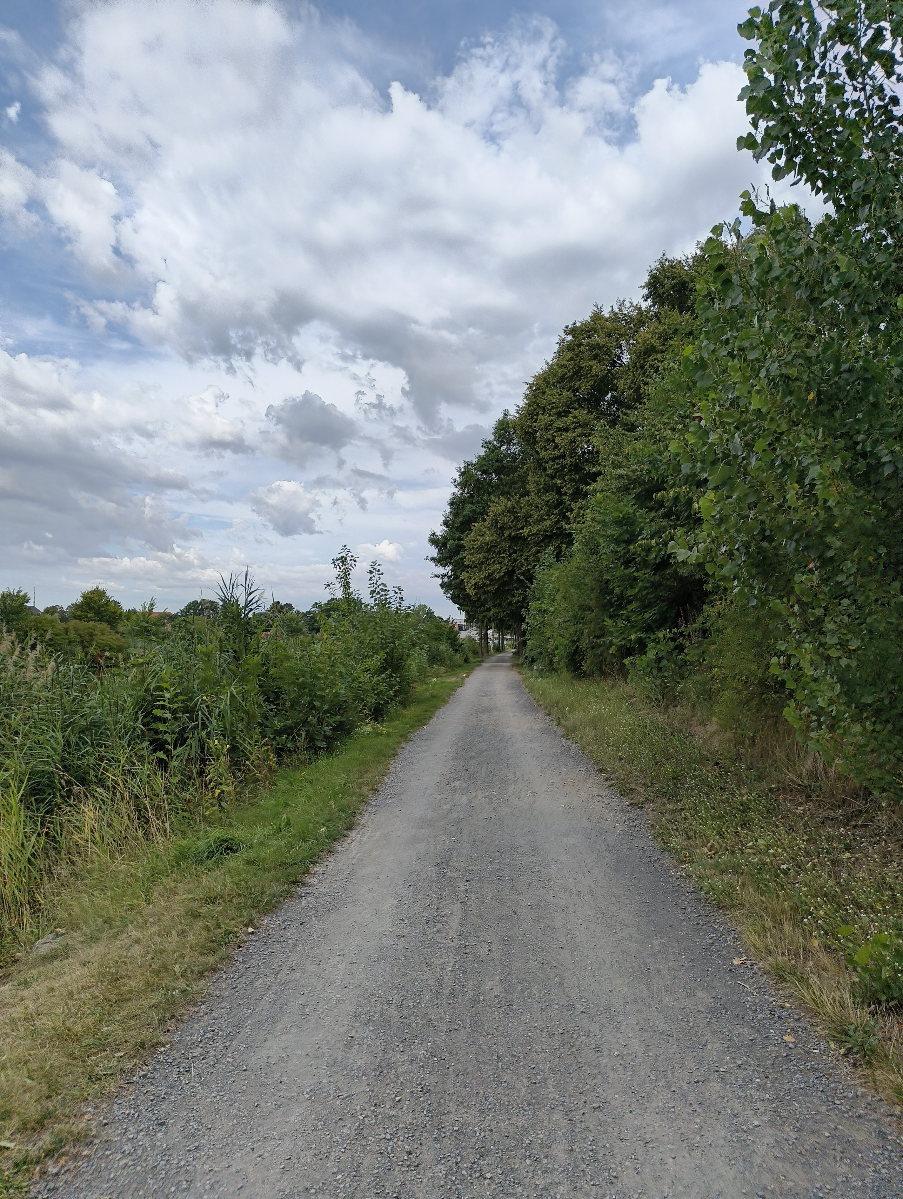 Weg am Randes des Mittellandkanals. Auf der linken Seite Gras und Büsche, auf der rechten Seite Gras und Bäume.