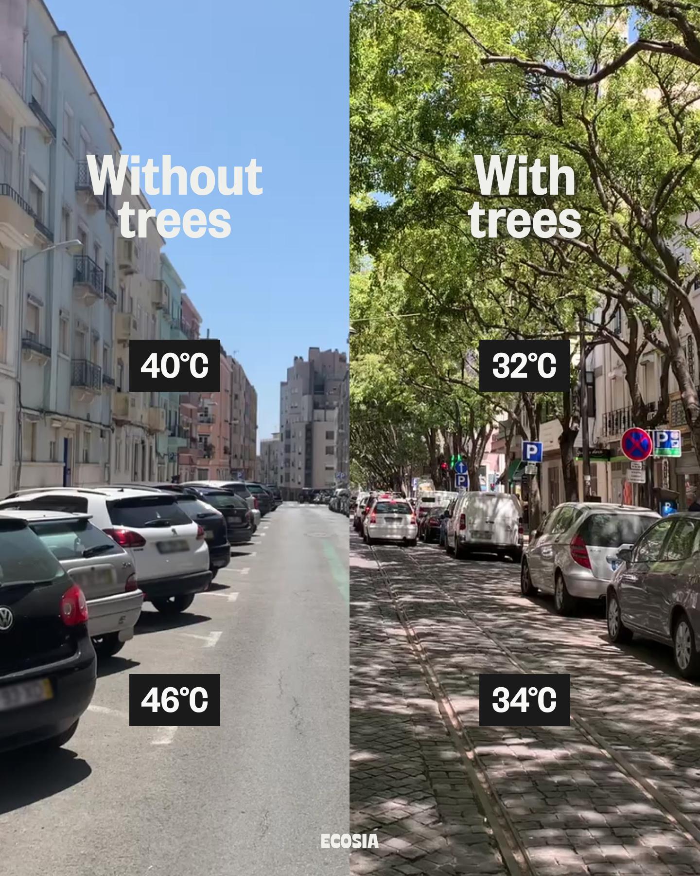 Vertikal geteiltes Foto. Auf der linken Seite ein Straßenzug mit Autos ohne Bäume: Straßentemperatur von 46°C, Lufttemperatur von 40°C. Auf der rechten Seite ein Straßenzug mit Autos sowie Bäumen: Straßentemperatur von 34°C, Lufttemperatur von 32°C.